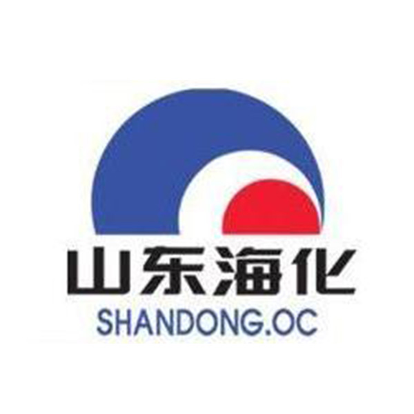 山東海化股份有限公司